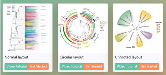Make a beautiful evolutionary tree