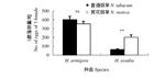Studies on Olfactory and Feeding Preferences of Helicoverpa armigera and H. assulta to Two Tobacco Species