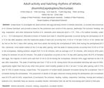 Adult activity and hatching rhythms of Athetis dissimilis (Lepidoptera: Noctuidae)