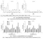 Cloning and expression analysis of JNKs gene in cotton bollworm Helicoverpa armigera