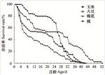 Effects of host plants on the development and oviposition selection behavior of Conogethes punctiferalis