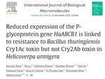 Reduced expression of the P-glycoprotein gene HaABCB1 is linked to resistance to Bacillus thuringiensis Cry1Ac toxin but not Cry2Ab toxin in Helicoverpa armigera